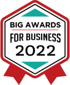 BIG Awards for Business 2022