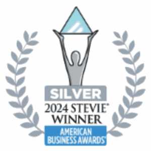 Stevie Silver 2024 American Business Awards